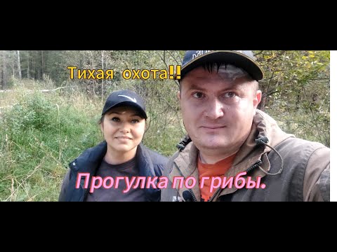 Видео: Тихая охота!!! Поход за грибами прогулка по лесу.