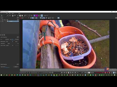 Видео: Mocha After Effects  Cовмещение двух движущихся видео кормушки и голубя