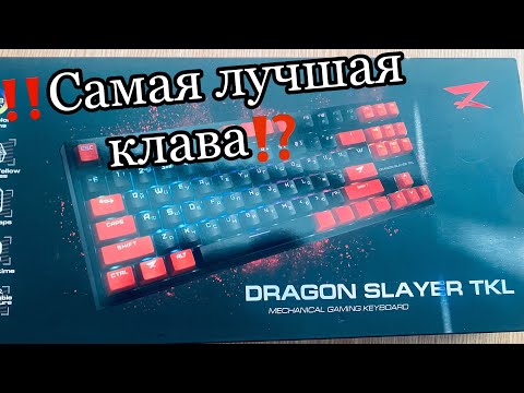 Видео: ‼️Обзор самой лучшей клавы⁉️Обзор zet gaming Dragon slayer tkl