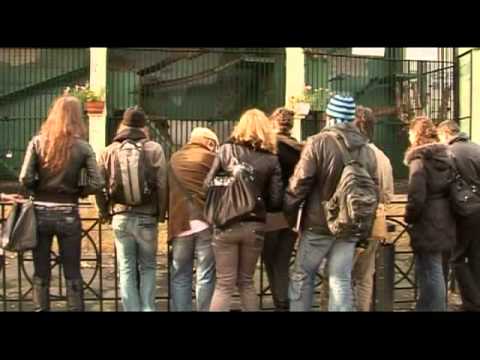 Видео: Рысь Нелли 2-25