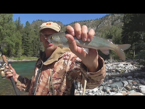 Видео: Travel Siberia - Рыбалка ,  походная кухня и снова Кони !