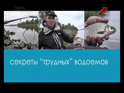 Видео: Подлещик на мах. Альтернативы фидеру
