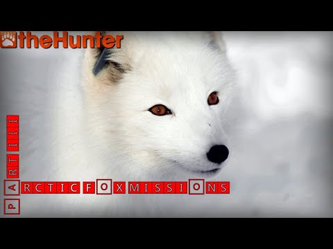 Видео: ♢ theHunter Classic ♢ Arctic Fox missions ♢ part III ♢ миссии на песца часть 3 ♢