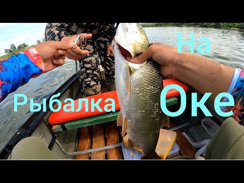 Видео: РЫБАЛКА С ЛОДКИ. РЕКА ОКА. Взял Трофей +Бонус. #NEKFiSh