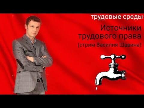 Видео: Источники трудового права (стрим Василия Шавина)