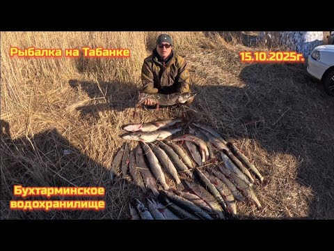 Видео: РЫБАЛКА НА ЩУКУ. БУХТАРМИНСКОЕ ВОДОХРАНИЛИЩЕ. 
