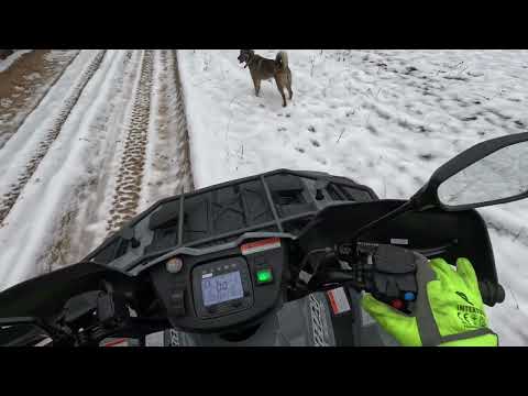 Видео: LINHAI LH80DA 4x4 полноприводный электроквадроцикл