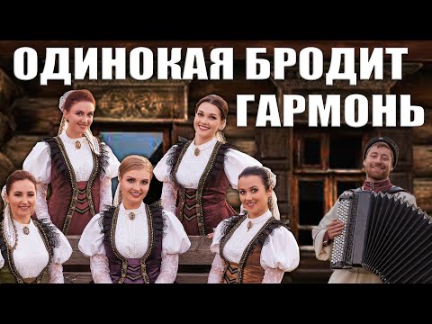 Видео: Песня "Одинокая бродит гармонь" Московский Казачий Хор