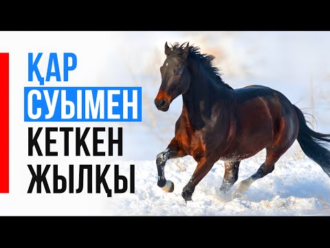 Видео: Қар суымен кеткен жылқы