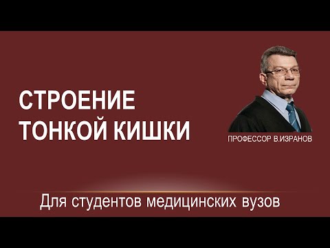 Видео: СТРОЕНИЕ ТОНКОЙ КИШКИ