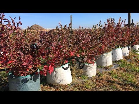 Видео: Отвечаем на ваши вопросы Часть 2