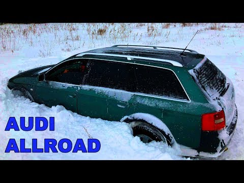 Видео: AUDI Allroad: когда тараканы аплодируют стоя.