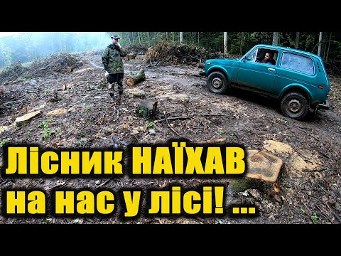 Видео: Лісник хотів викликати ПОЛІЦІЮ але відкрив легенду про схований скарб!
