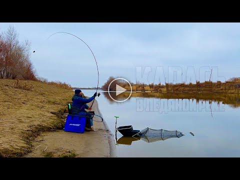 Видео: Где ИСКАТЬ и КАК ловить КРУПНОГО КАРАСЯ по холодной воде на реке?
