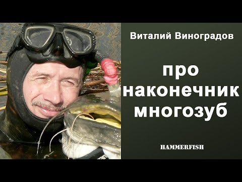 Видео: Наконечник многозуб для подводной охоты. Виталий Виноградов в магазине HAMMERFISH