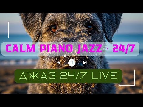 Видео: 24/7 Gentle Piano Jazz Live ⋅ Relaxing Background Music for Sleep & Calm/24/7 Нежный Джаз (Live)