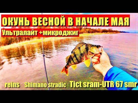 Видео: Весенний окунь на ультралайт. Ловля окуня на микроджик. Уговорил крупного окуня. Порвал вейдерсы!