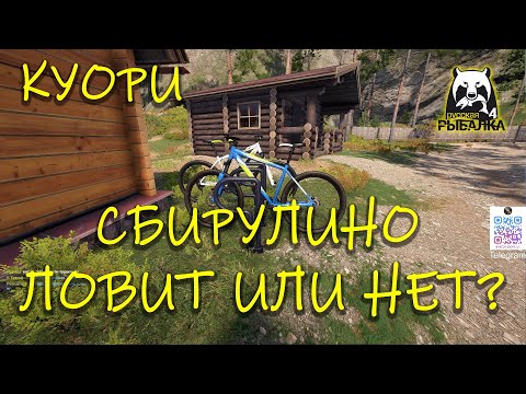 Видео: Русская рыбалка 4. рр4. Сбирулино ловит на Куори?