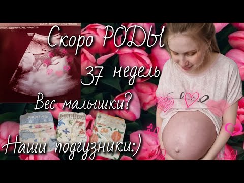 Видео: ВЛОГ: Скоро РОДЫ🤰🏼Когда госпитализация?🪻Консультация в РОДДОМЕ 29, г. Москвы.⚘️