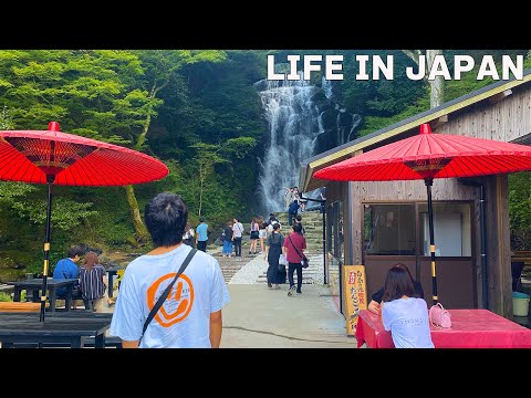 Видео: [Влог] Повседневная жизнь в Японии🇯🇵 Мне понравились традиционные японские «Нагаси Сомен»!
