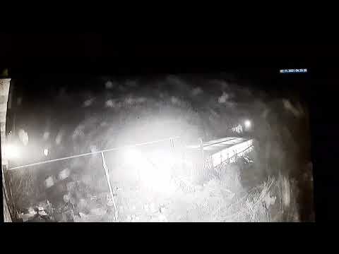 Видео: Молитвенник снял на камеру как летают ангелы... 