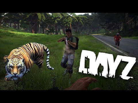 Видео: 🛑 DayZ PVE "Тропические приключения" (Сервер: New Day)