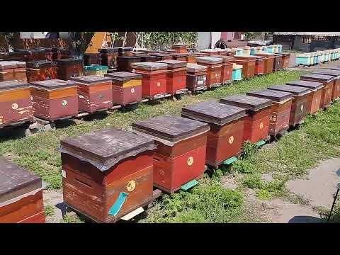 Видео: Газети не треба!