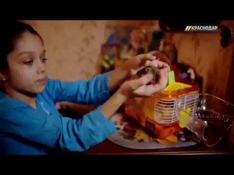 Видео: Настя Алексеенко, 10 лет, сахарный диабет 1 типа, тяжелая форма