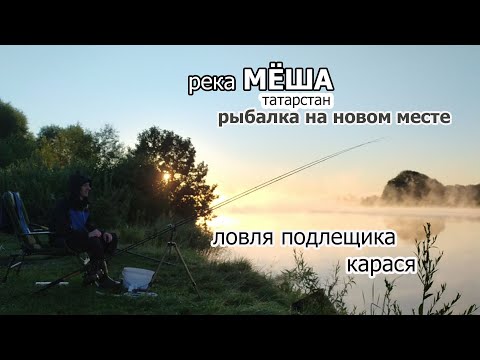 Видео: КАРАДУЛИ. ЛОВЛЯ ПОДЛЕЩИКА И КАРАСЯ ФИДЕРОМ НА РЕКЕ МЁША В ИЮЛЕ