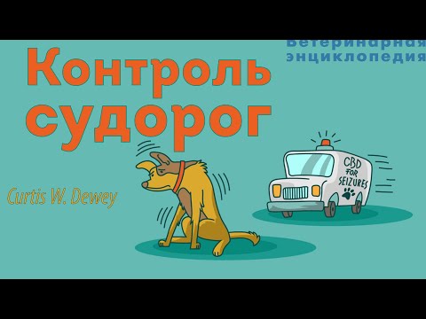 Видео: Контроль судорог. Эпилепсия