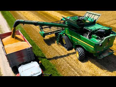 Видео: УРОЖАЙ ПШЕНИЦЫ 2025 КОМБАЙН JOHN DEERE S770i