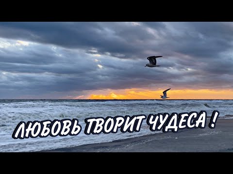 Видео: Медитация «ОТКРЫТИЕ ПОТОКА ЛЮБВИ» от Клауса Джоула