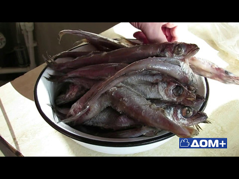 Видео: 0010 Солёная путассу