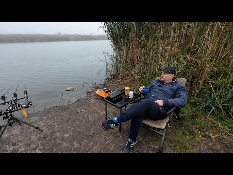 Видео: С одной стороны есть Хвосты,а с другой стороны их нет.