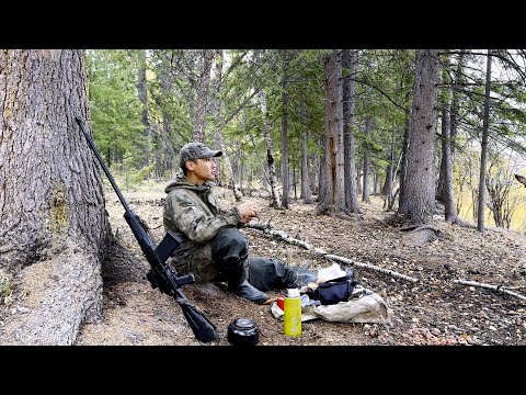Видео: Күһүҥҥү кус - 5 ч. Ардах, КӨҔӨН, коллиматор САЙГА 12С