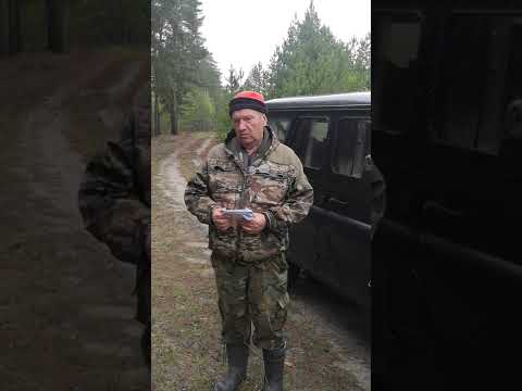 Видео: Испытания гончих