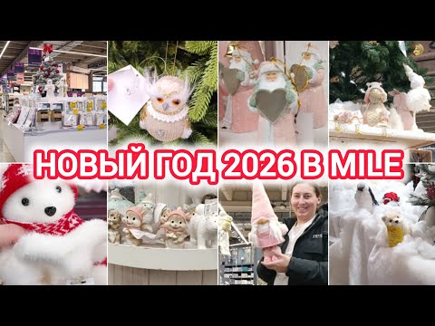 Видео: НОВЫЙ ГОД 2026 В MILE | БЕЛАРУСЬ