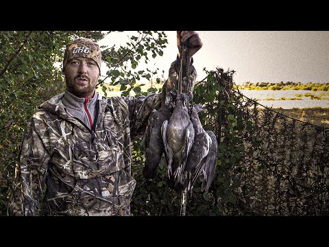 Видео: ОХОТА НА ВЯХИРЯ 2024 #охотанавяхиря #охота