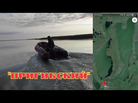 Видео: "Пригибский"