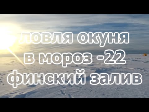 Видео: Ловля окуня в мороз на финском заливе. Окунь брал на всё, мормышку, безмотылку, блесну, болду.