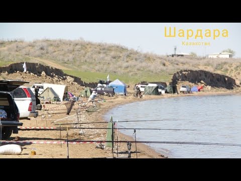 Видео: Рыбалка тепер в Казахстане. Шардара, август 2023.