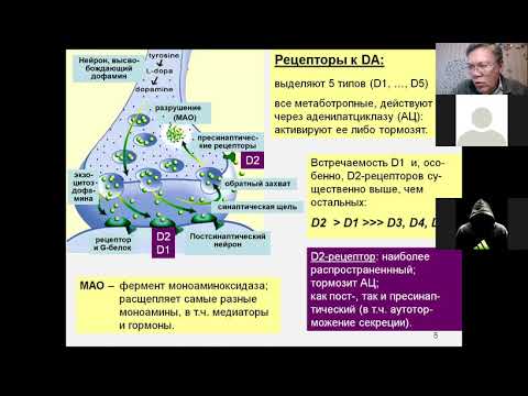 Видео: Дубынин МФК весна 2021 Химия мозга 7 дофамин