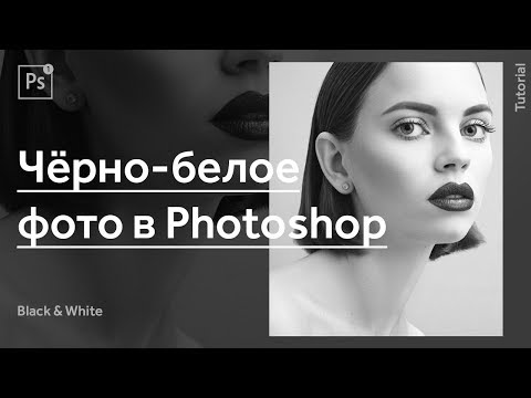 Видео: Черно-белая фотография в Photoshop, способы и правила | How to Create a Black & White In Photoshop