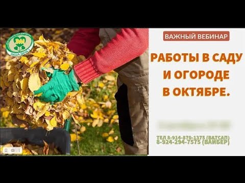 Видео: Календарные работы в октябре в саду и огороде  Ефимов Игорь  Фрагмент вебинара