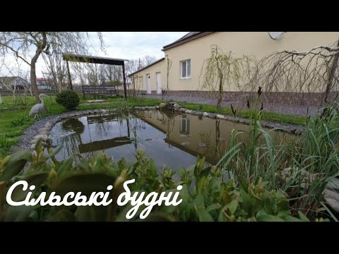 Видео: Озеро весною