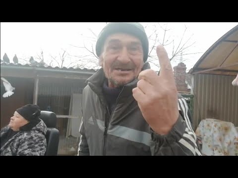Видео: Голуби 🕊️ в ГоСтЯх 🌲 у Деркач.А.А ❄️16.12.2024.г. Автор и Организатор 🎥🕊️ Минин.С.В. 🎥🕊️🇷🇺🌲🏆
