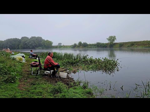 Видео: Открытие Сезона Ночных Рыбалок. Фидер на Днепре на Новом Месте. Рыбалка с Ночевкой.