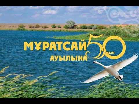 Видео: Мұратсай ауылы туралы деректі фильм