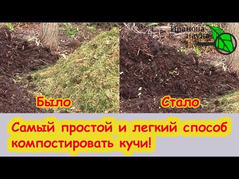 Видео: НИКОГДА НЕ КЛАДИТЕ ЭТО В КОМПОСТ! Слизни заедят огород. Как сделать компост безопасным и полезным.