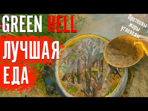 Видео: ЛУЧШАЯ ЕДА В Green Hell | Протеины, жиры, углеводы